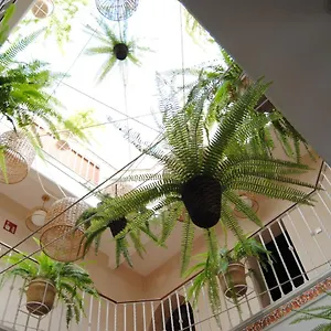 Affittacamere Cordoba
